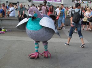 Methinks it'd take more than a sparrowhawk to frighten this pigeon away from Trafalgar Square..;)...